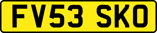 FV53SKO