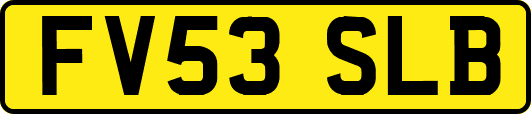 FV53SLB