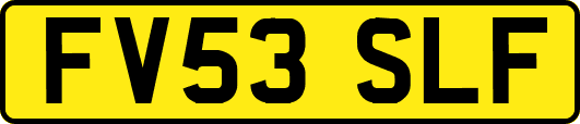 FV53SLF