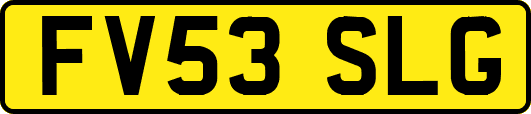 FV53SLG