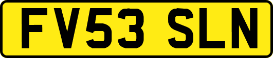 FV53SLN