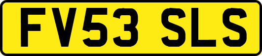 FV53SLS