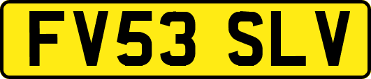 FV53SLV