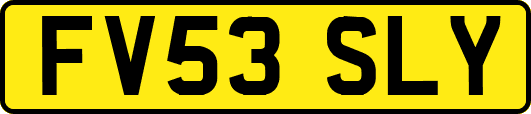 FV53SLY