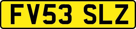 FV53SLZ