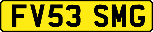 FV53SMG
