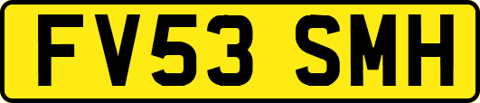 FV53SMH
