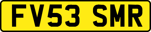 FV53SMR