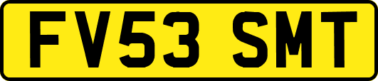FV53SMT