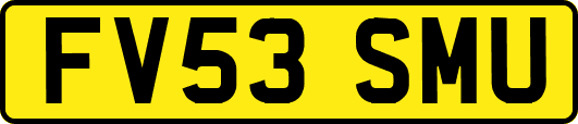 FV53SMU