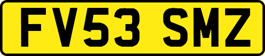 FV53SMZ