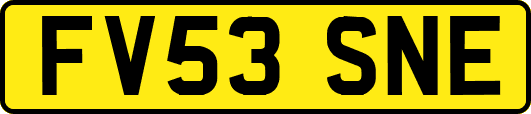 FV53SNE