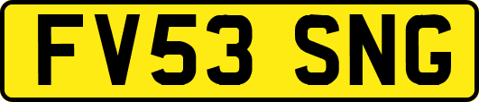 FV53SNG