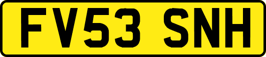 FV53SNH