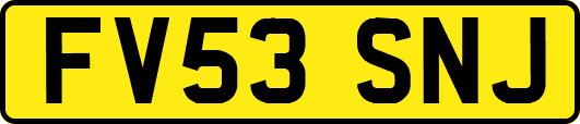 FV53SNJ