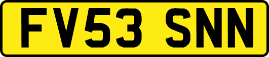 FV53SNN
