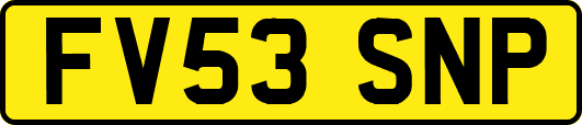 FV53SNP