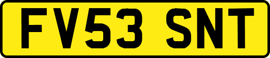 FV53SNT