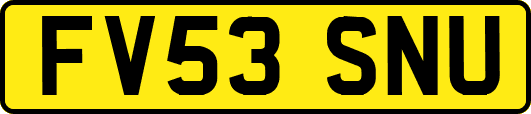FV53SNU