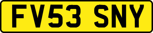 FV53SNY