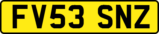 FV53SNZ
