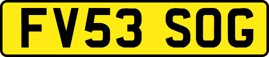 FV53SOG