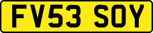 FV53SOY