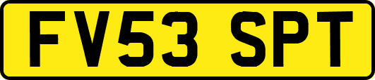 FV53SPT