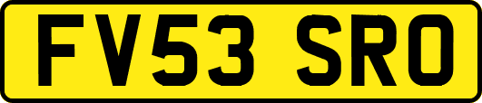 FV53SRO