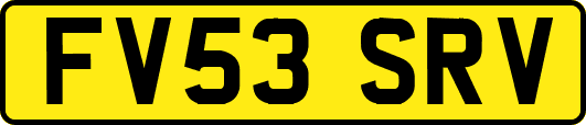 FV53SRV
