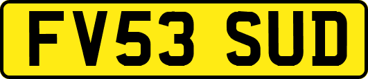 FV53SUD