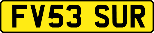 FV53SUR