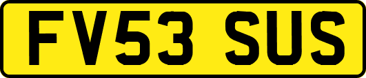 FV53SUS
