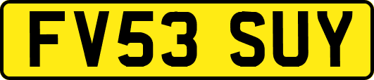 FV53SUY