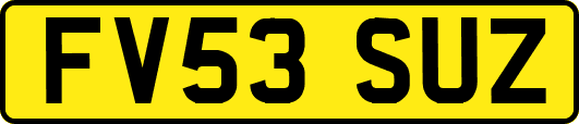 FV53SUZ