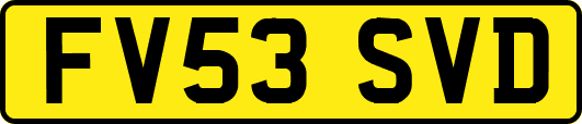 FV53SVD