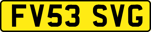 FV53SVG