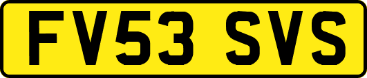 FV53SVS