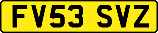FV53SVZ
