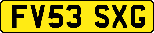 FV53SXG