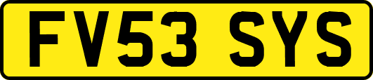 FV53SYS