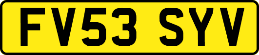 FV53SYV