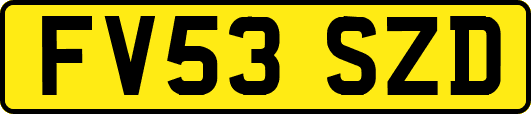 FV53SZD