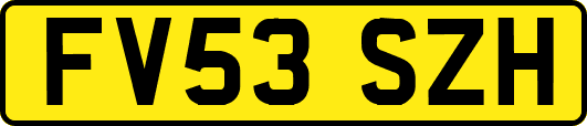 FV53SZH
