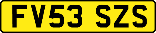 FV53SZS
