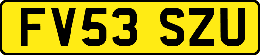 FV53SZU