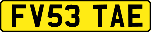 FV53TAE