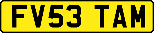 FV53TAM