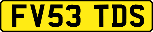 FV53TDS