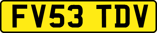 FV53TDV